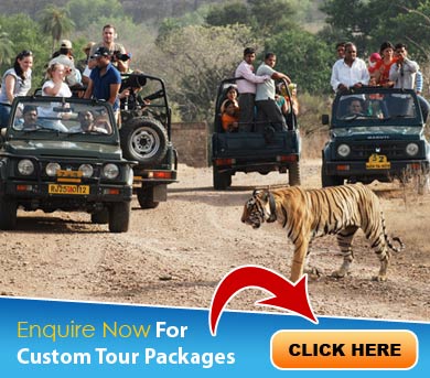 Corbett Tour Packages